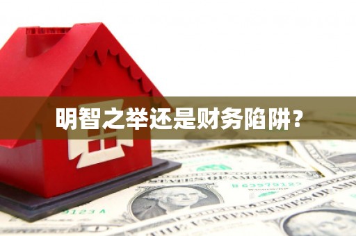 西畴明智之举还是财务陷阱？