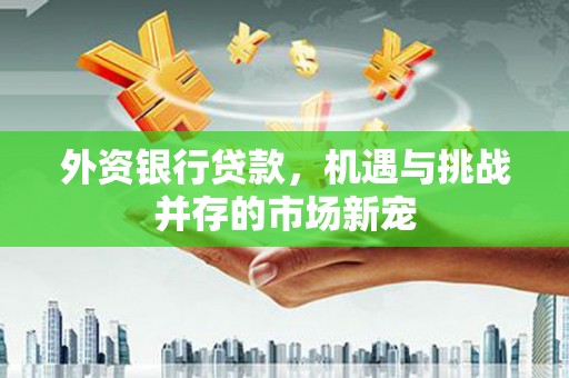 西畴外资银行贷款，机遇与挑战并存的市场新宠