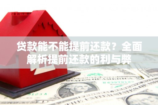 西畴贷款能不能提前还款？全面解析提前还款的利与弊