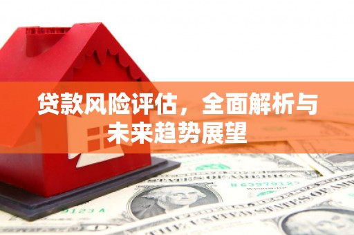 西畴贷款风险评估，全面解析与未来趋势展望