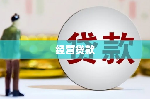 西畴经营贷款