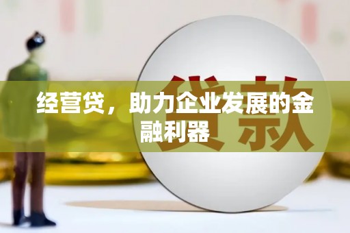 西畴经营贷，助力企业发展的金融利器
