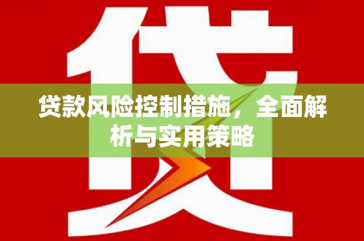 西畴贷款风险控制措施，全面解析与实用策略