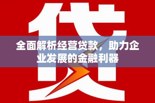 西畴全面解析经营贷款，助力企业发展的金融利器