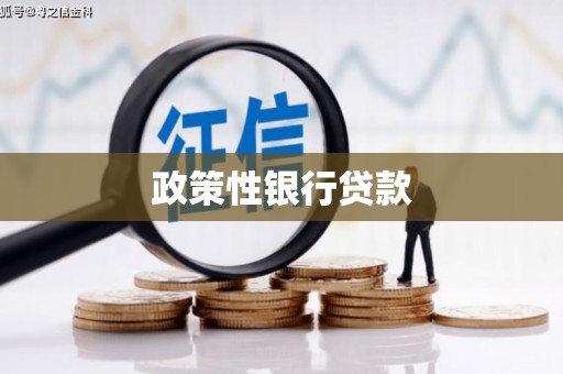西畴政策性银行贷款