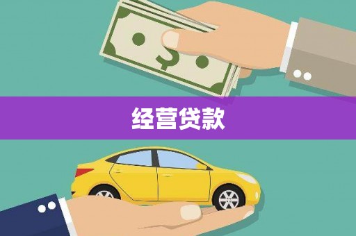 西畴经营贷款