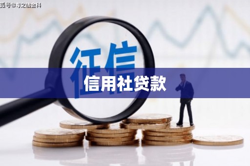 西畴信用社贷款