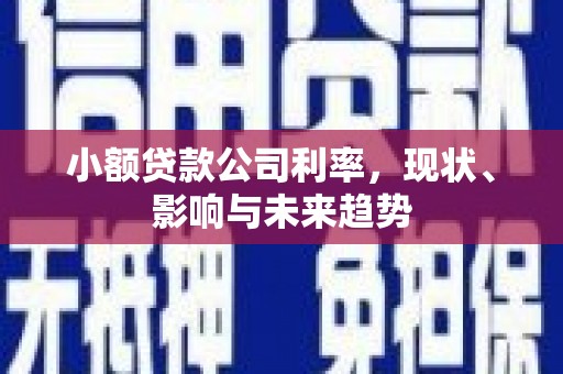 西畴小额贷款公司利率，现状、影响与未来趋势