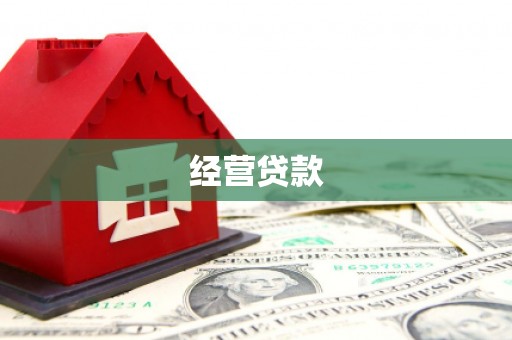 西畴经营贷款