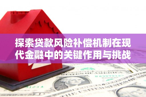 西畴探索贷款风险补偿机制在现代金融中的关键作用与挑战