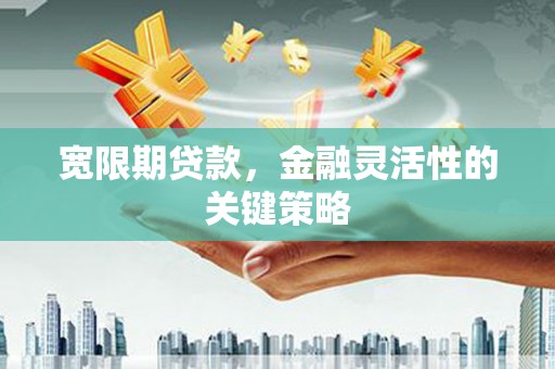 西畴宽限期贷款，金融灵活性的关键策略