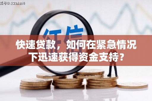 西畴快速贷款，如何在紧急情况下迅速获得资金支持？