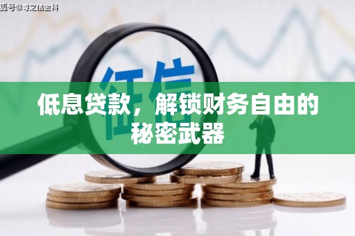 西畴低息贷款，解锁财务自由的秘密武器