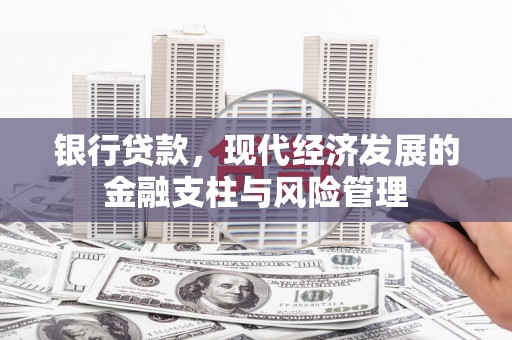 西畴银行贷款，现代经济发展的金融支柱与风险管理