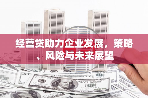 西畴经营贷助力企业发展，策略、风险与未来展望