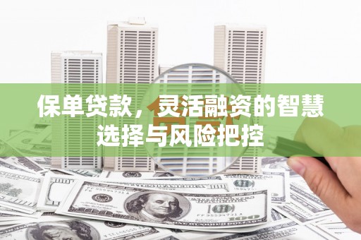 西畴保单贷款，灵活融资的智慧选择与风险把控