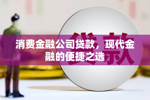 西畴消费金融公司贷款，现代金融的便捷之选