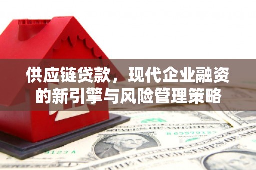 西畴供应链贷款，现代企业融资的新引擎与风险管理策略