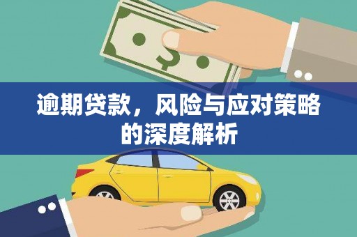 西畴逾期贷款，风险与应对策略的深度解析
