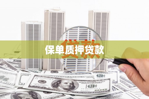 西畴保单质押贷款