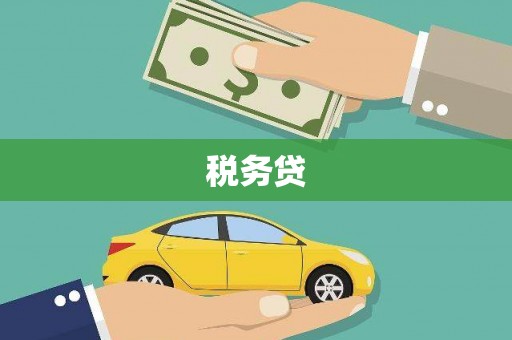 西畴税务贷