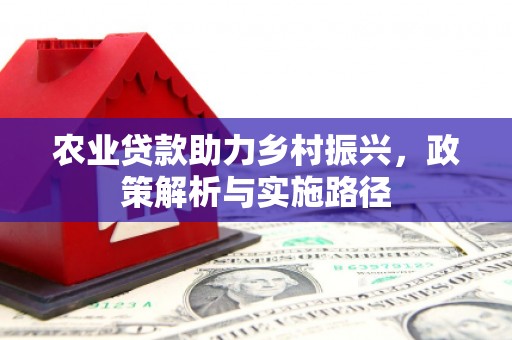 西畴农业贷款助力乡村振兴，政策解析与实施路径
