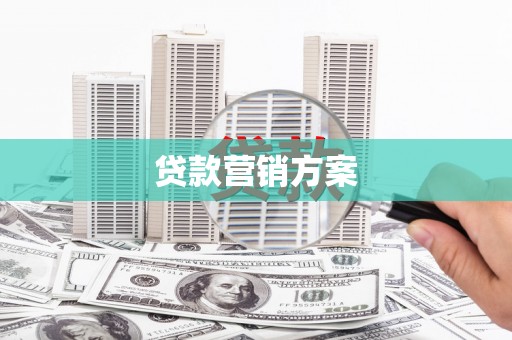 西畴贷款营销方案