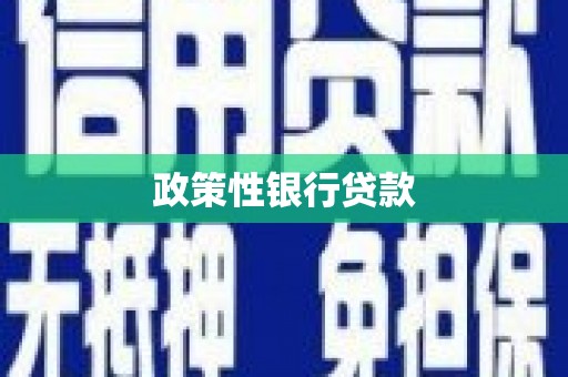 西畴政策性银行贷款