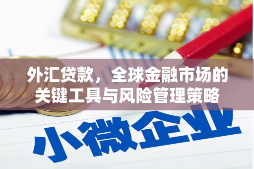 西畴外汇贷款，全球金融市场的关键工具与风险管理策略