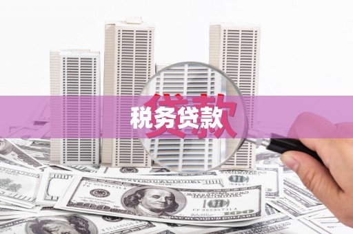 西畴税务贷款