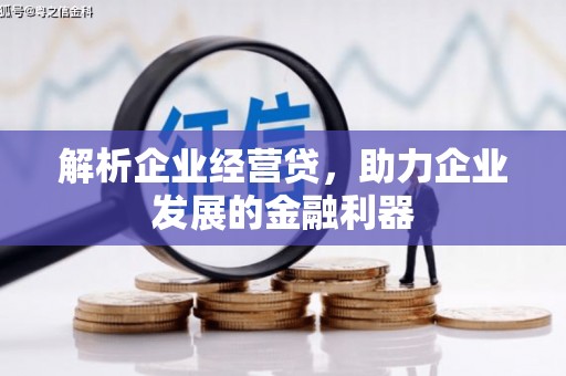 西畴解析企业经营贷，助力企业发展的金融利器