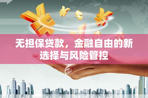 西畴无担保贷款，金融自由的新选择与风险管控