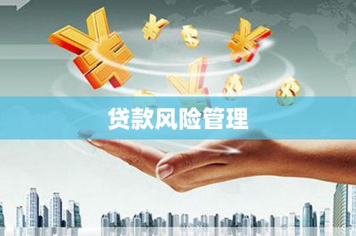 西畴贷款风险管理