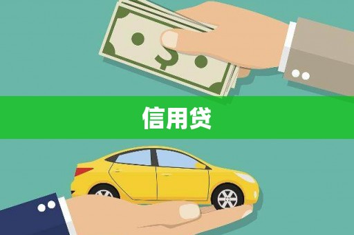 西畴信用贷