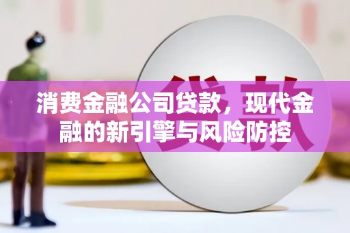 西畴消费金融公司贷款，现代金融的新引擎与风险防控