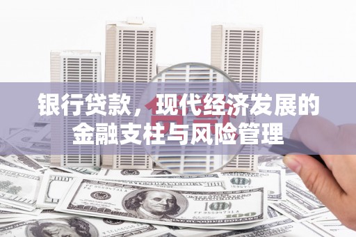 西畴银行贷款，现代经济发展的金融支柱与风险管理