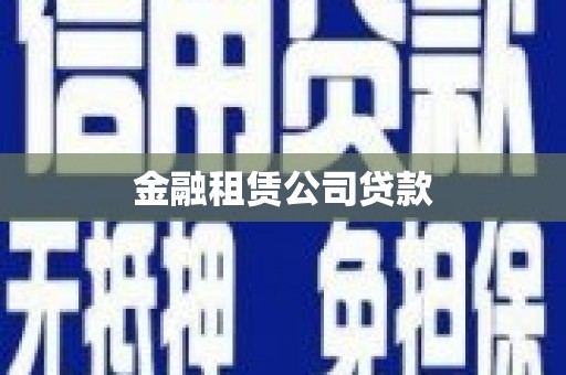 西畴金融租赁公司贷款