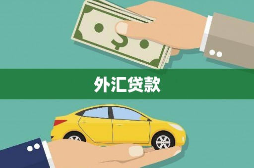 西畴外汇贷款