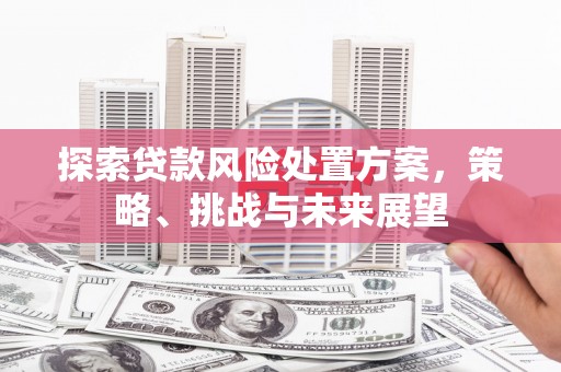 西畴探索贷款风险处置方案，策略、挑战与未来展望