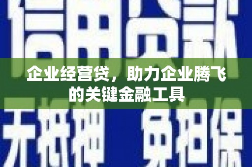 西畴企业经营贷，助力企业腾飞的关键金融工具