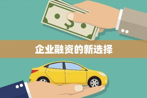 西畴企业融资的新选择