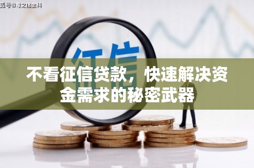 西畴不看征信贷款，快速解决资金需求的秘密武器