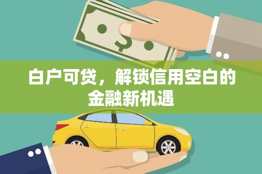 西畴白户可贷，解锁信用空白的金融新机遇
