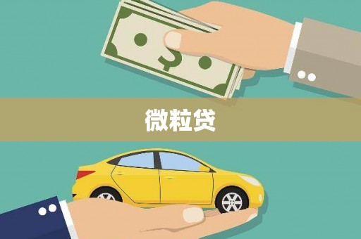 西畴微粒贷