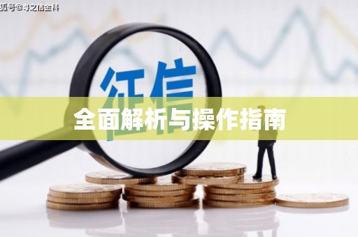西畴全面解析与操作指南