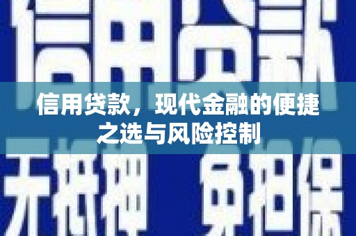 西畴信用贷款，现代金融的便捷之选与风险控制