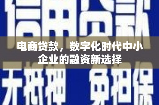 西畴电商贷款，数字化时代中小企业的融资新选择