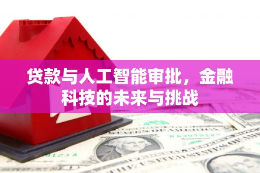 西畴贷款与人工智能审批，金融科技的未来与挑战