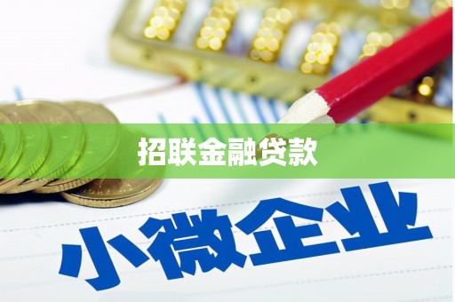 西畴招联金融贷款