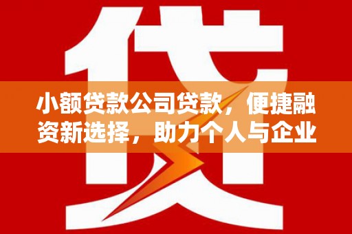 西畴小额贷款公司贷款，便捷融资新选择，助力个人与企业成长